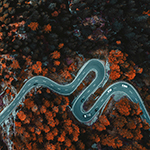 top view road through forest